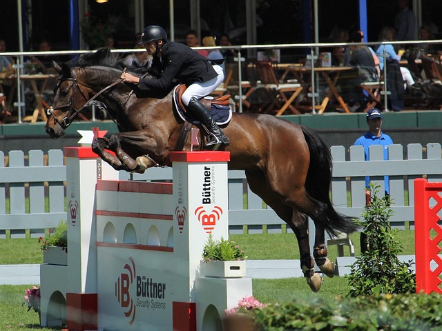 比赛为例 比赛为例